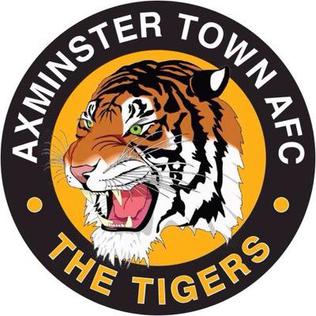 Axminster Town FC by Paul Harrison